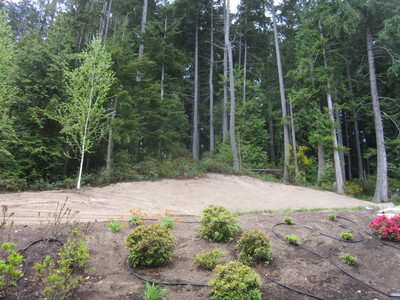 land clearing excavation grading